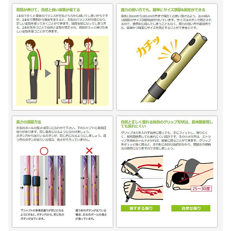 あんしん2本杖 2本1組 65019 シナノ (ウォーキングポール 介護予防 ウォーキング) 介護用品 敬老の日 2023 70代 80代 |  | 06