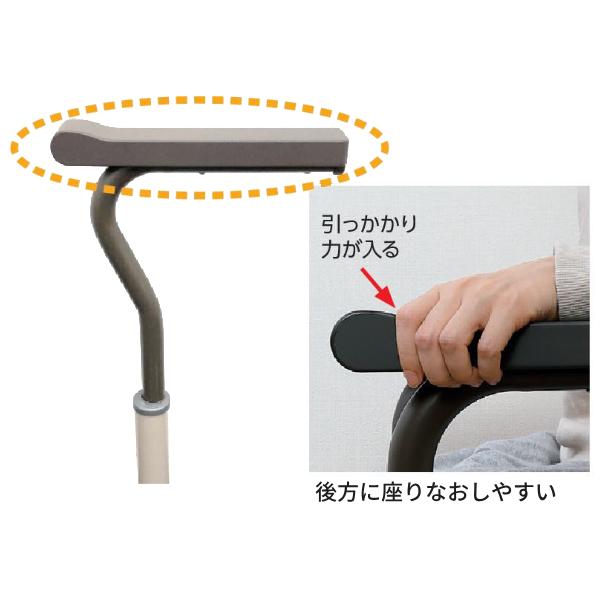 Panasonic（パナソニック） スムーディ (トイレ用) 片手すり XPN