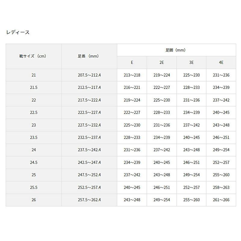 履きやすい靴 ファスナー 介護靴 おしゃれ 外履き シューズ レディース 快歩主義 L176 婦人用 アサヒシューズ 軽量 日本製 介護シューズ | アサヒシューズ | 08