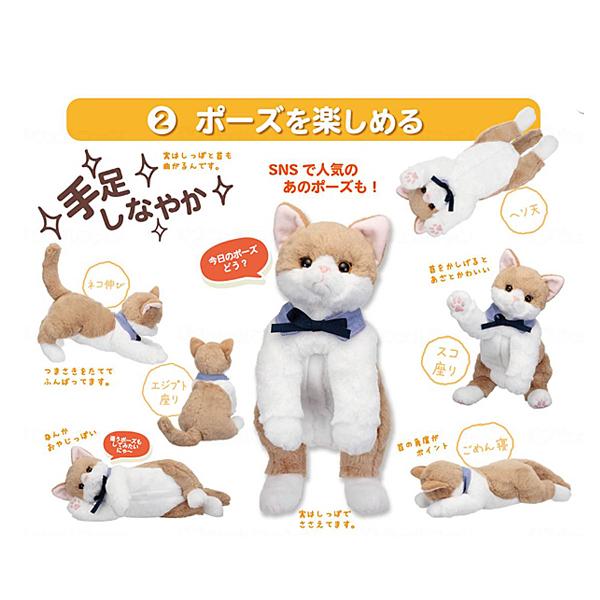コミュニケーション ペットシリーズ 癒し なごみケーションにゃんこ ぬくもり イワヤ 介護 介護用品_4