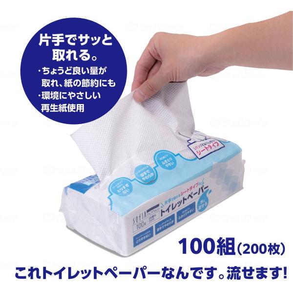 1ケース (100枚×3個入)×16パック 片手で取れる シートタイプ