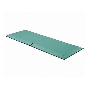 （代引き不可・個人宅限定） テストール 〜衝撃緩和マット〜 KE-200Q パラマウントベッド 介護用品 (日・祝日配達不可 時間指定指定不可) | パラマウントベッド