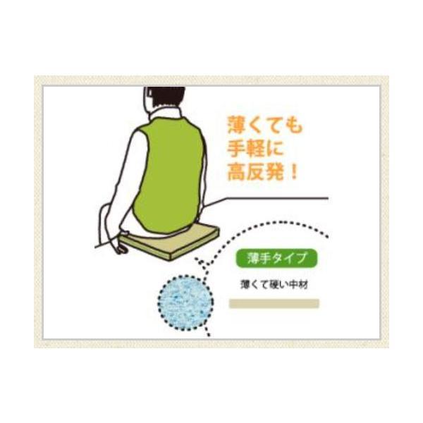 （代引き不可）ハッピーのぞみ80号 9202 40×40×8cm　ハッピーおがわ 介護用品_1