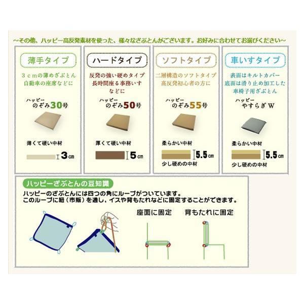 （代引き不可）ハッピーのぞみ80号 9202 40×40×8cm　ハッピーおがわ 介護用品_2