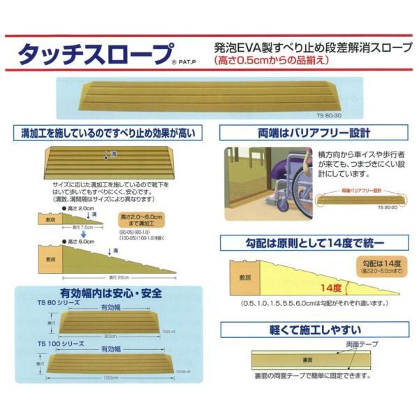 段差解消スロープ 室内 タッチスロープ TS100-20(幅100cm×高さ2cm) シンエイテクノ 転倒防止 介護用品 | シンエイテクノ | 01