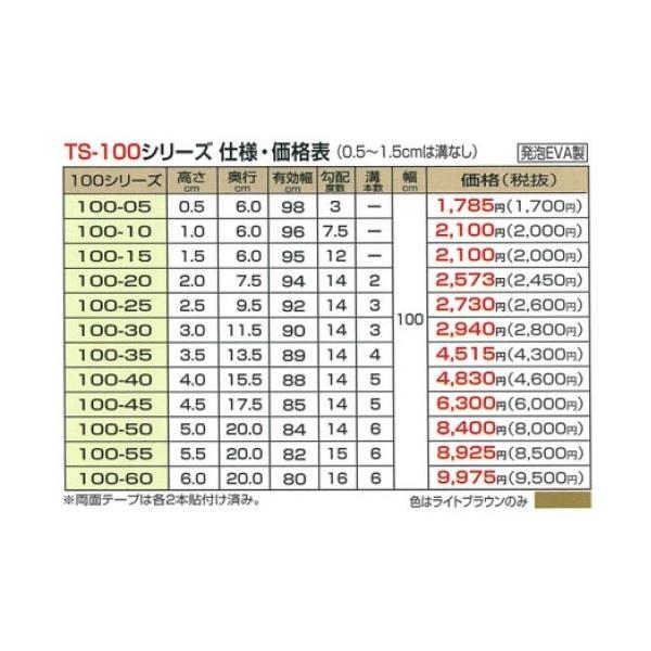 段差解消スロープ 室内 タッチスロープ TS100-20(幅100cm×高さ2cm) シンエイテクノ 転倒防止 介護用品 | シンエイテクノ | 02