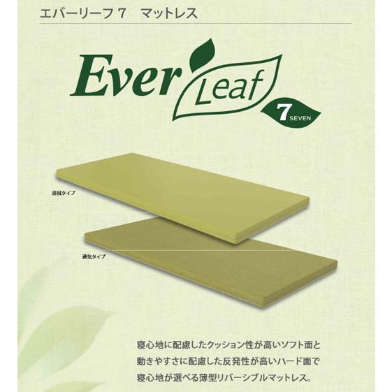 パラマウントベッド (代引き不可・個人宅限定）エバーリーフ7