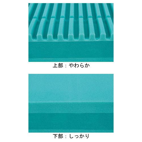 molten（モルテン） (代引き不可) 静止型マットレス テルサ 防水・清拭