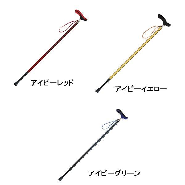 杖 ステッキ おしゃれ 柄杖 軽量 女性 男性 ネオクラシカル 伸縮 605050 シナノ 介護用品 |  | 02