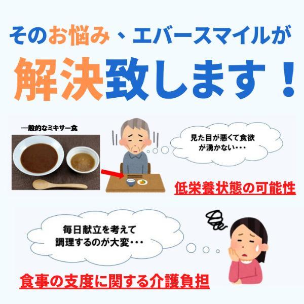 介護食 区分3 セット 舌でつぶせる エバースマイル ムース食 1日2食30日分献立セット 大和製罐 介護用品｜ekaigoshop2｜05