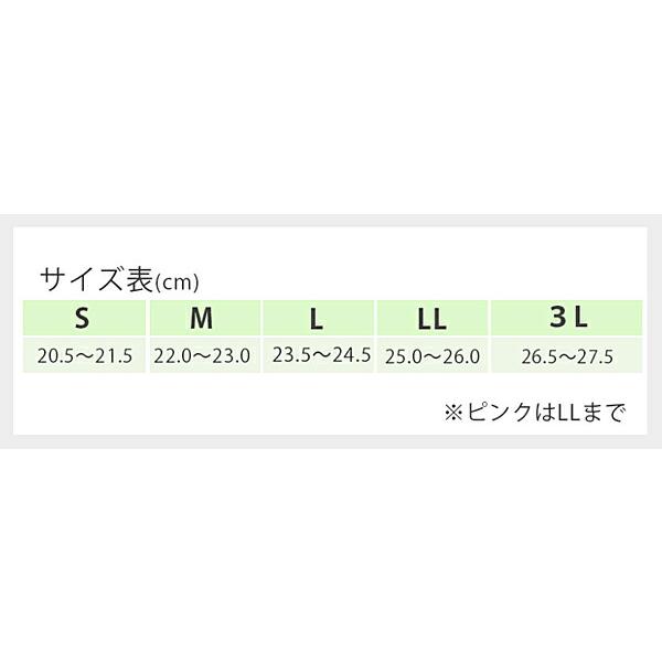 介護スリッパ 介護シューズ 室内用 リハビリシューズ 入院用靴 入院 靴 入院用スリッパ  高齢者 早快マジック レギュラー 2502　3E相当 徳武産業  あゆみ |  | 11