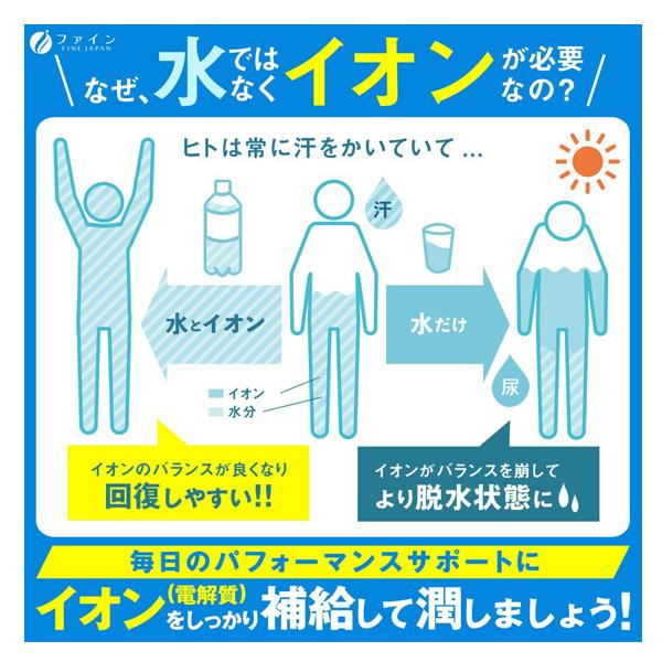イオンドリンク 1L用（6.4g×40本） スポーツドリンクの味 大容量 40L分 スティックタイプ 粉末清涼飲料 ファイン 介護食 水分補給 熱中症対策 介護用品 |  | 01