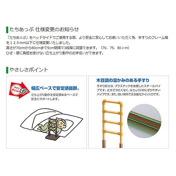 57％以上節約 矢崎化工たちあっぷ ＣＫＡ−０３ lz-bad-fredeburg.de