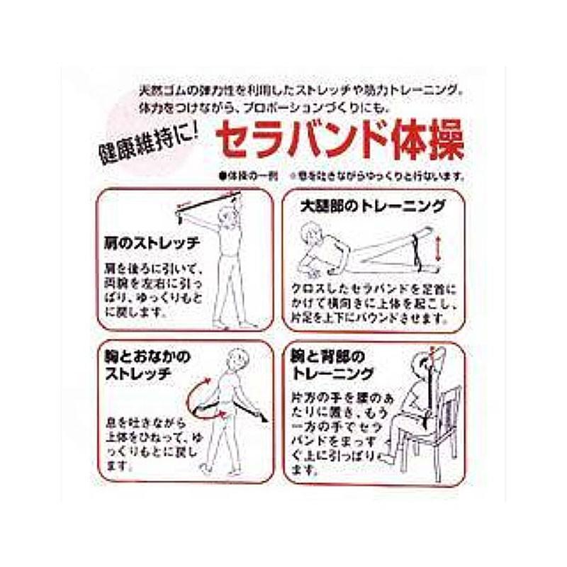 トレーニングバンド セラバンドミニパック 1.5m巻 T131-00(赤-中弱)(リハビリ トレーニング 天然ゴム) アビリティーズ・ケアネット 介護用品 :10007202:介護用品専門店 まごころショップ - 通販 - Yahoo!ショッピング トレーニングバンド セラバンドミニパック 1.5m巻 T131-00(赤-中弱)(リハビリ トレーニング 天然ゴム) アビリティーズ・ケアネット 介護用品 :10007202:介護用品専門店 まごころショップ - 通販 - Yahoo!ショッピング