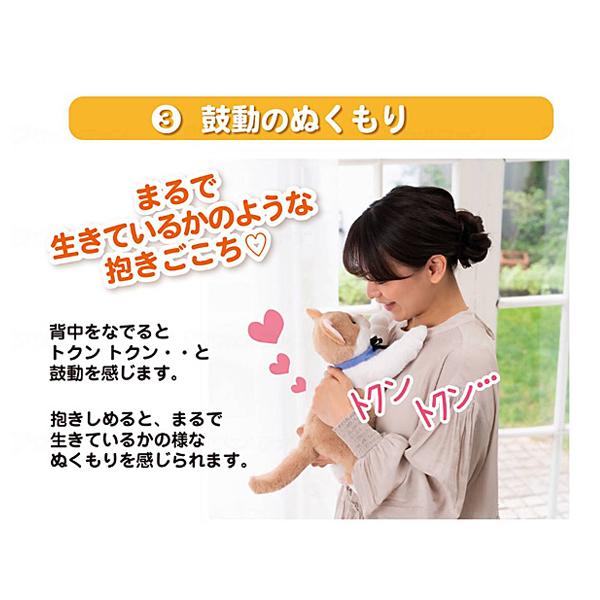 コミュニケーション ペットシリーズ 癒し なごみケーションにゃんこ ぬくもり イワヤ 介護 介護用品_5
