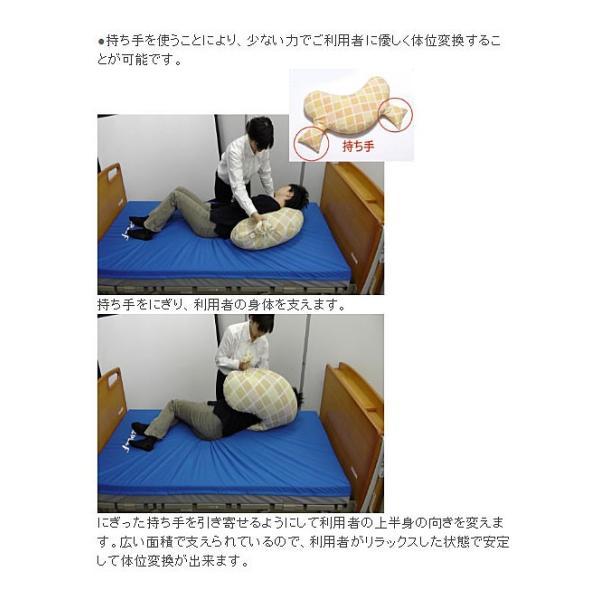 代引き不可) アルファプラ ウェルピーHC ブーメラン小 PC-HC-B2 タイカ