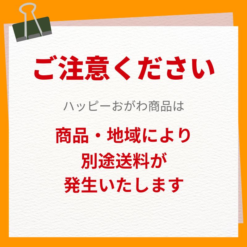 (代引き不可）ハッピーおがわ おんぶらっく 子供用 No.116 介護用品 |  | 05