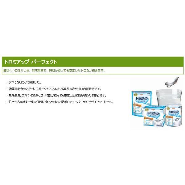 【感謝価格】 介護食品 とろみ調整 嚥下補助 トロミアップパーフェクト 2.5kg 日清オイリオグループ 介護用品