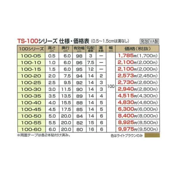 段差解消スロープ 室内 タッチスロープ TS100-60(幅100cm×高さ6cm) シンエイテクノ 転倒防止 介護用品 | シンエイテクノ | 02