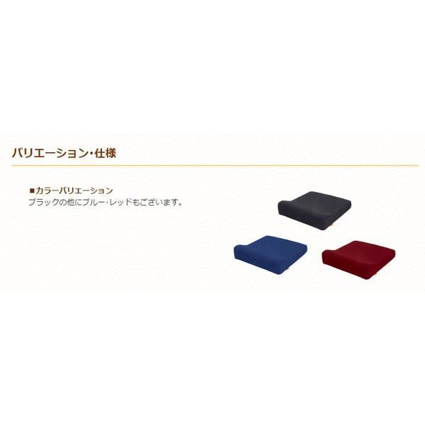 タカノクッションR　タイプ1 TC-R081　タカノ (車椅子クッション 体圧分散 座布団） 介護用品_4