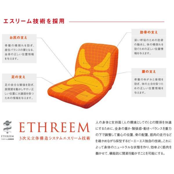 車椅子用クッション モールドシート PAS-MSW-002 ピーエーエス (車椅子クッション 座位保持 腰痛対策 姿勢 体幹 ポジショニング) 介護用品 |  | 02