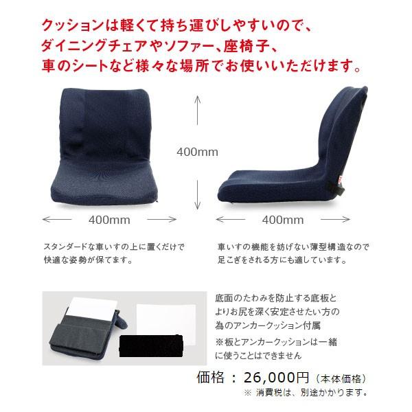 車椅子用クッション モールドシート PAS-MSW-002 ピーエーエス (車椅子クッション 座位保持 腰痛対策 姿勢 体幹 ポジショニング) 介護用品 MSW