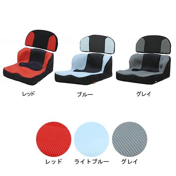 代引き不可) LAPS（ラップス）+LAP Backsセット TC-LS11 タカノ