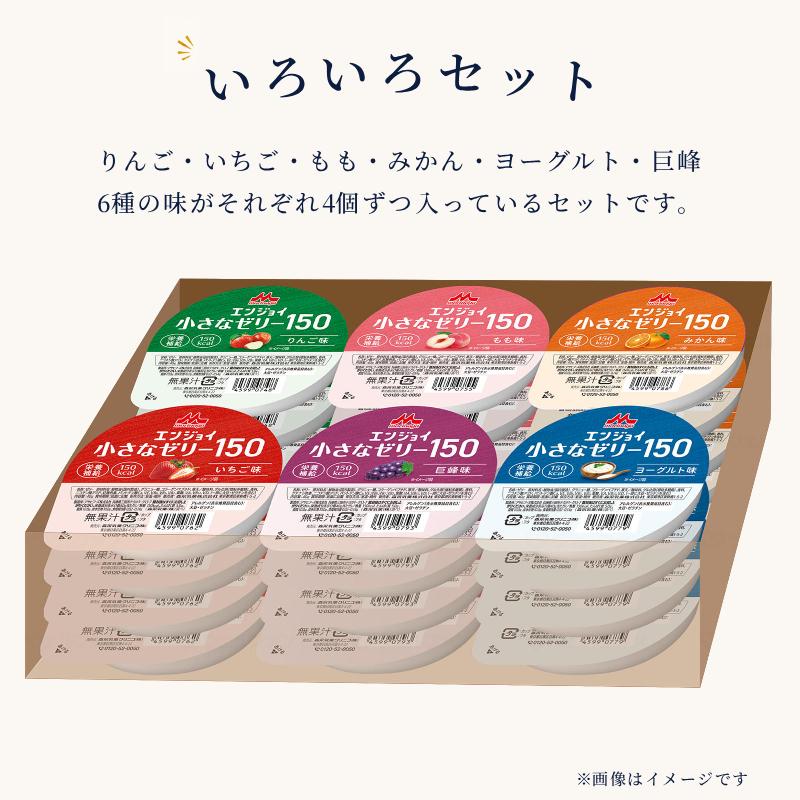 森永乳業 介護食 デザート 6種×4個セット 高カロリー エンジョイ小さな