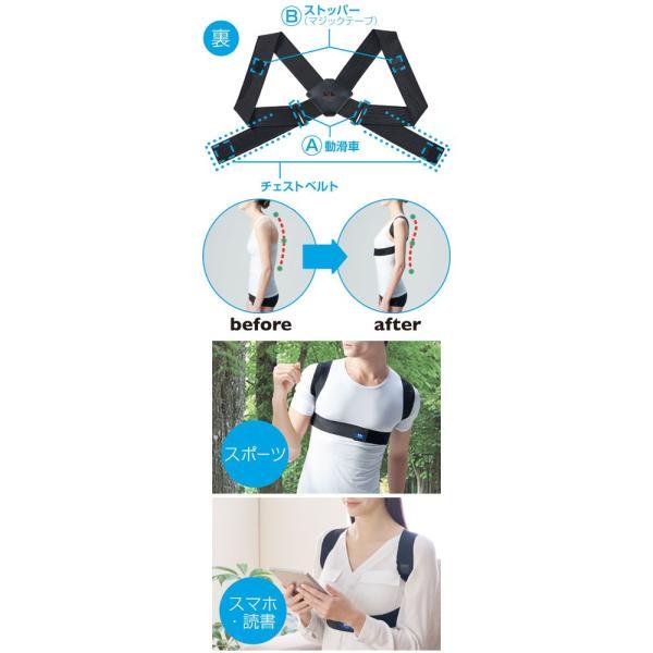 magicoLabo姿勢ベルトイージーフィット S-M  M-L  L-LL 中山式産業 (介護 ベルト) 介護用品 |  | 01