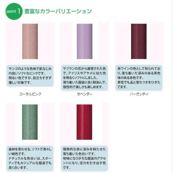 フジホーム 杖 ステッキ おしゃれ 軽量 女性 男性 シンプル フラミンゴ