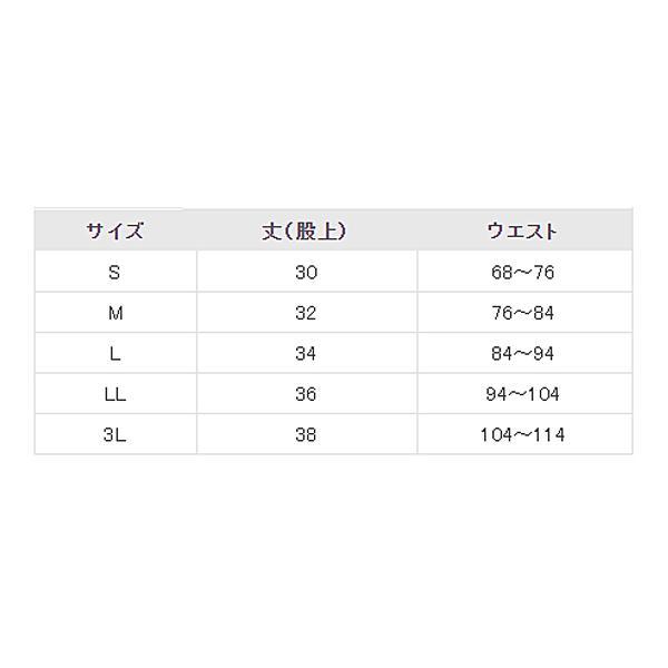 安心パンツ ブリーフ50 紳士用 B4858C グレー 3L 川本産業（男性用失禁パンツ 紳士用尿漏れパンツ）介護用品 | ニシキ | 01