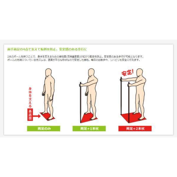あんしん2本杖 2本1組 65019 シナノ (ウォーキングポール 介護予防 ウォーキング) 介護用品 |  | 05