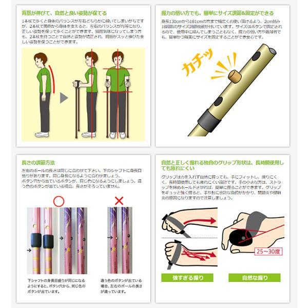 あんしん2本杖 2本1組 65019 シナノ (ウォーキングポール 介護予防 ウォーキング) 介護用品 |  | 06