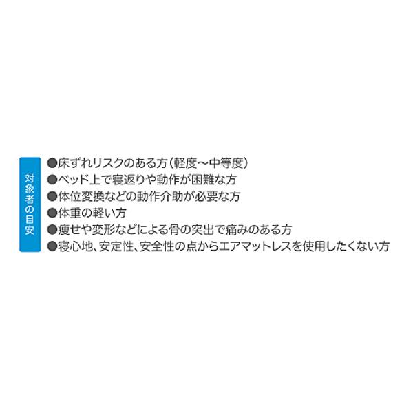 マットレス 床ずれ (代引き不可) アルファプラFII 撥水・防水カバータイプ 100cm幅レギュラー MB-FII W0R タイカ (体圧分散マットレス 床ずれ防止) 介護用品 |  | 05