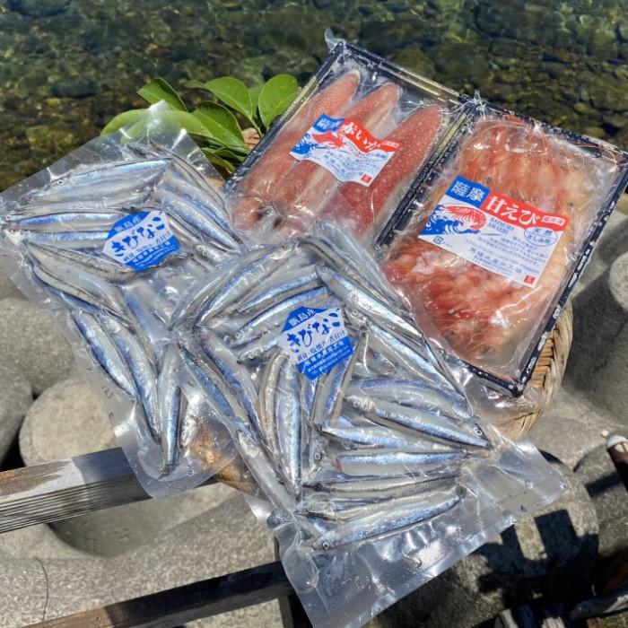 送料無料 ギフト 甑島のお刺身セット（えび・いか・きびなご詰め合わせ