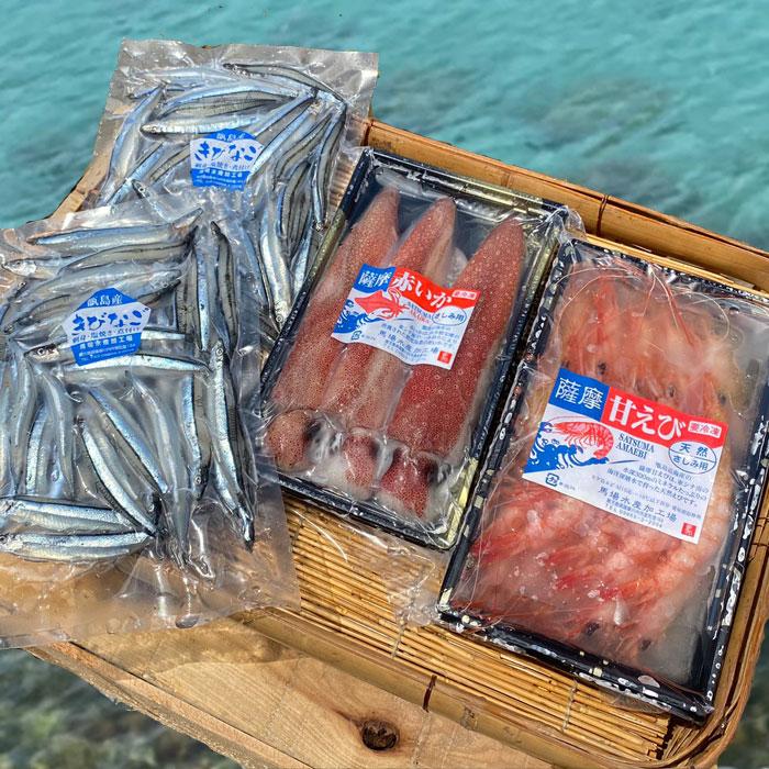 送料無料 ギフト 甑島のお刺身セット（えび・いか・きびなご詰め合わせ