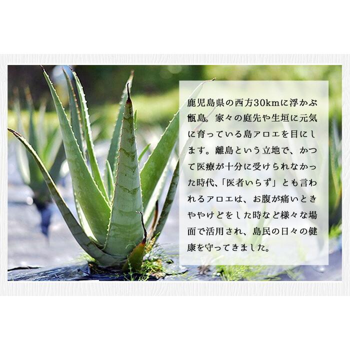 数量限定 冷凍アロエベラ（小カット）500g 2袋 無農薬 ヨーグルト