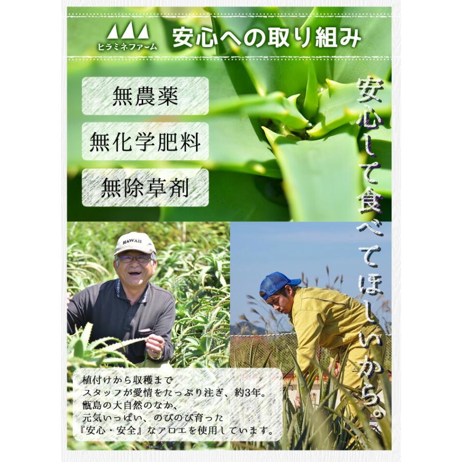 数量限定 冷凍アロエベラ（小カット）500g 2袋 無農薬 ヨーグルト