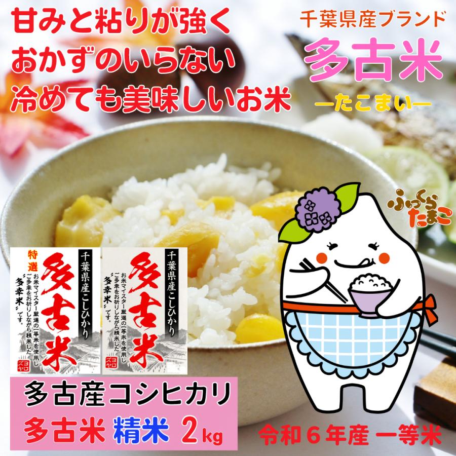 コシヒカリ 多古米 特選多古米 2kg たこまい こしひかり 精米 コシヒカリ 多古米 特選多古米 2kg たこまい こしひかり 精米