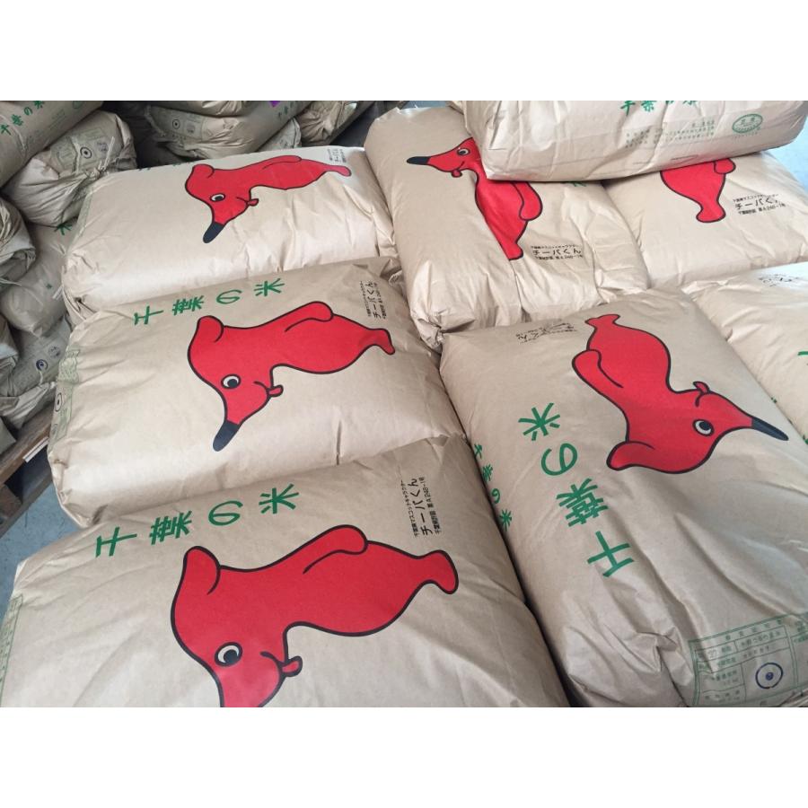 コシヒカリ 多古米 特選多古米 2kg たこまい こしひかり 精米 コシヒカリ 多古米 特選多古米 2kg たこまい こしひかり 精米
