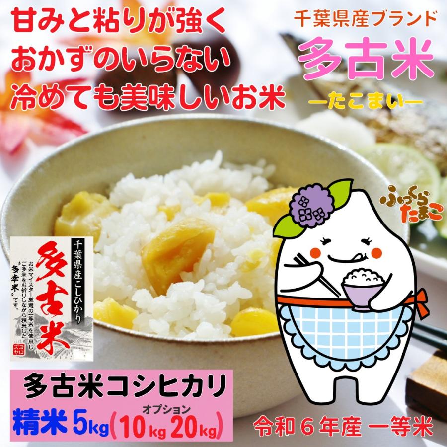 コシヒカリ 多古米 コシヒカリ 精米 5kg 6年産 一等米 千葉県 コシヒカリ 多古米 コシヒカリ 精米 5kg 6年産 一等米 千葉県