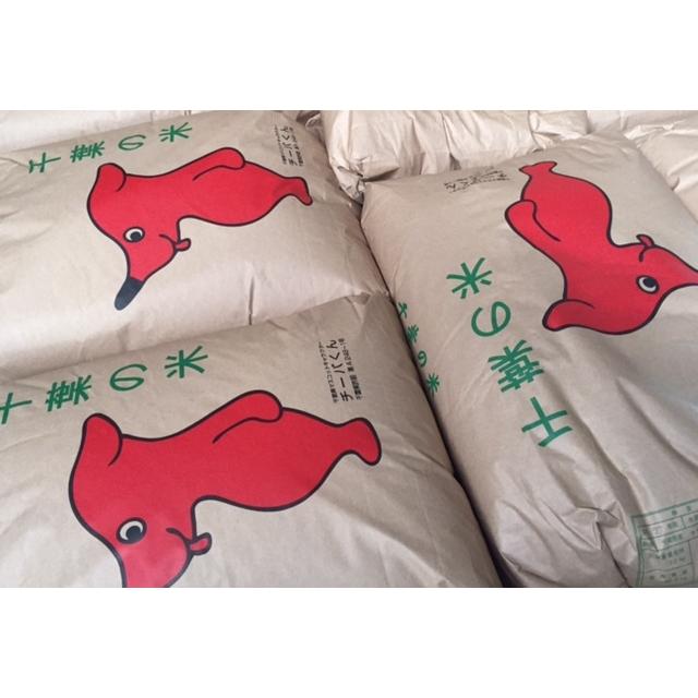 コシヒカリ 30kg 精米無料 白米 27キロ お米 玄米 30キロ 再調整