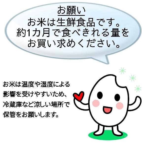 コシヒカリ 30kg 精米無料 白米 27キロ お米 玄米　30キロ 再調整 オプション 小分け 令和５年産   米 千葉県　 こしひかり 新米｜ekome4628｜07