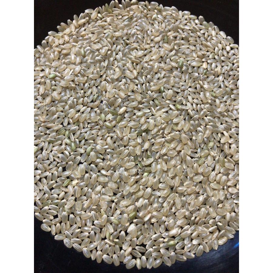 コシヒカリ 30kg 精米無料 白米 27キロ お米 玄米 30キロ 再調整 コシヒカリ 30kg 精米無料 白米 27キロ お米 玄米 30キロ 再調整