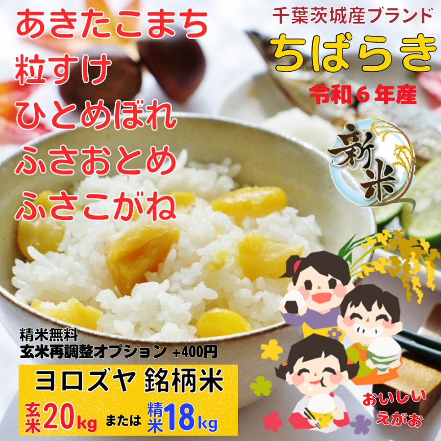専門店では 美味しいお米 令和4年 埼玉県産 コシヒカリ 白米 5kg 送料無料