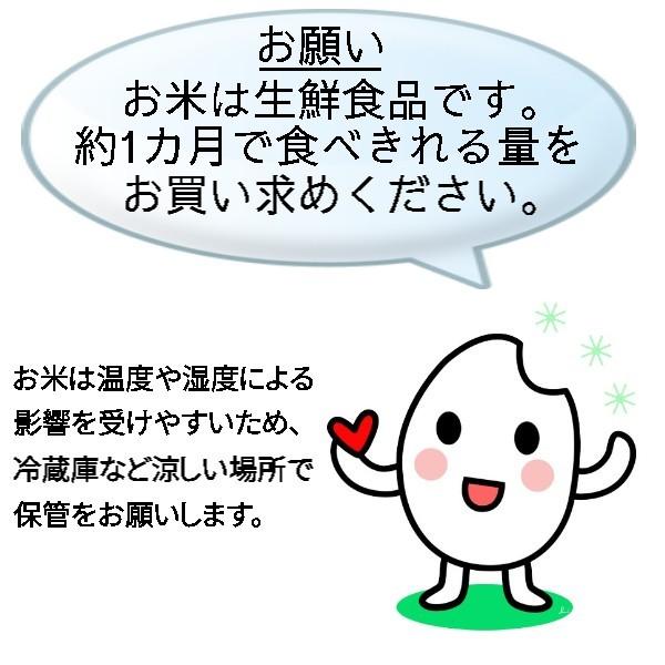 あきたこまち 米 ふさこがね ふさおとめ ひとめぼれ 粒すけ 選べる お