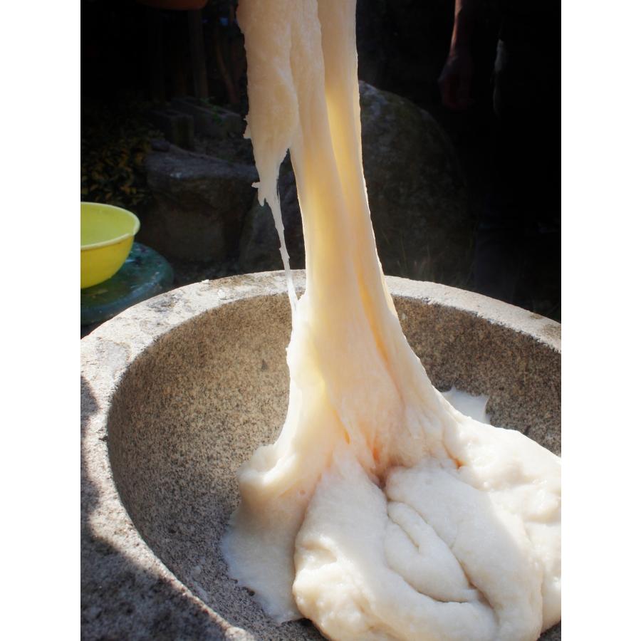 マンゲツモチ もち米 精米 27kg 玄米 30kg 検査1等 郡司さんの茨城県