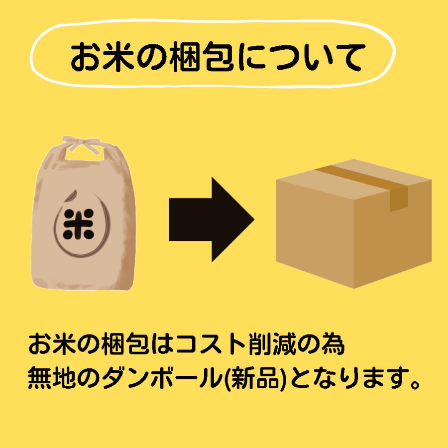 あきたこまち 米 20kg 茨城県産あきたこまち お米 白米 20キロ 令和7
