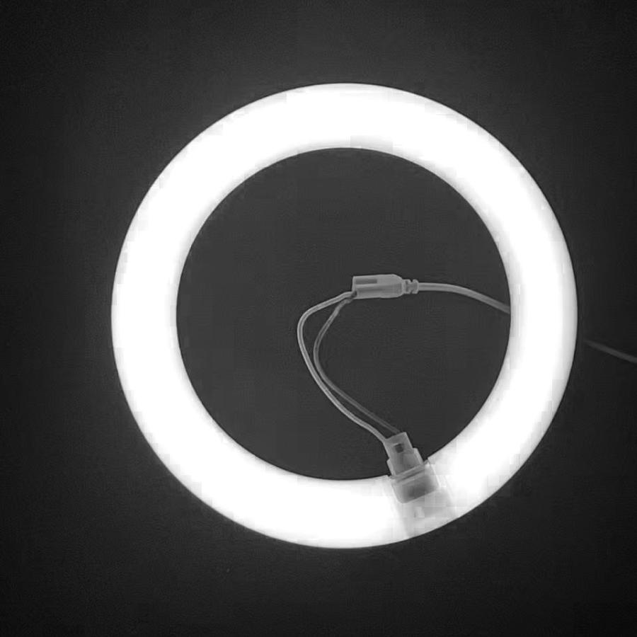 慧光（エコウ） LED蛍光灯 2本セット 丸型 高輝度 20形 昼光色 白色