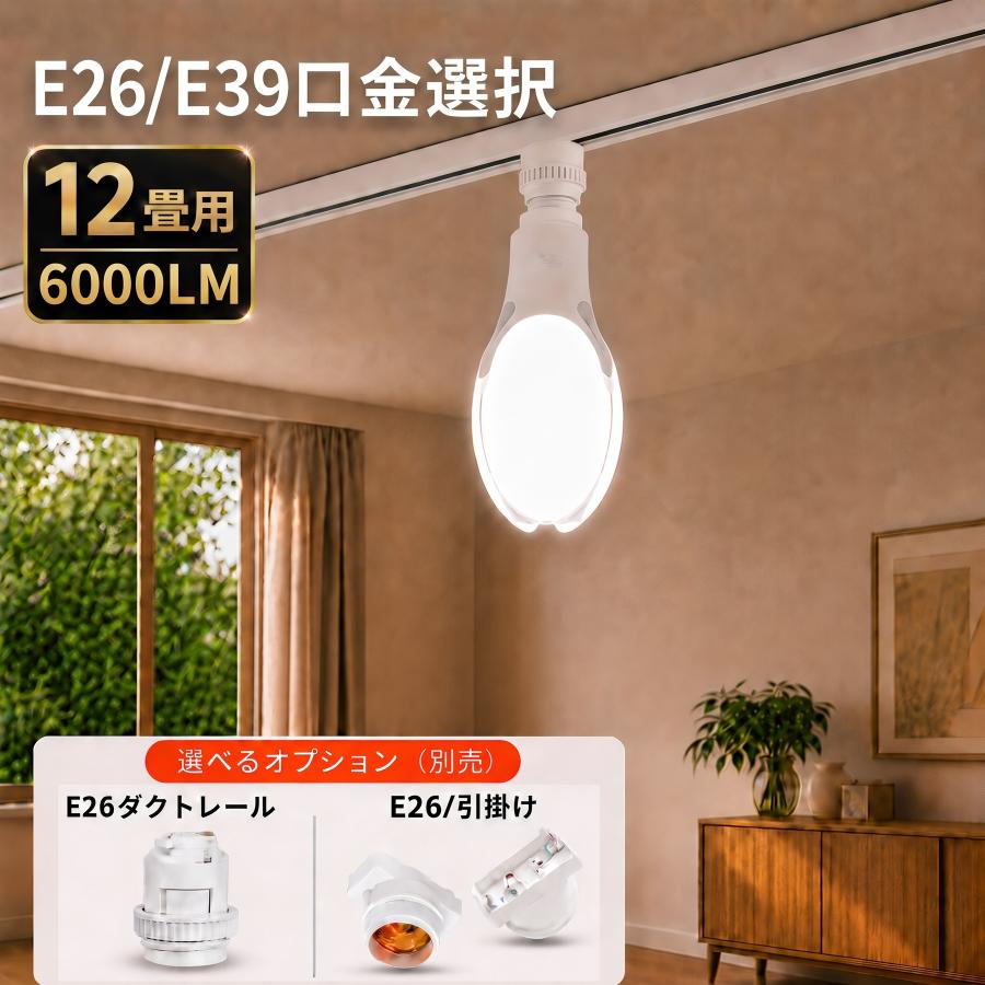 慧光（エコウ） LEDシーリングライト 12畳 LED水銀ランプ型 LED電球